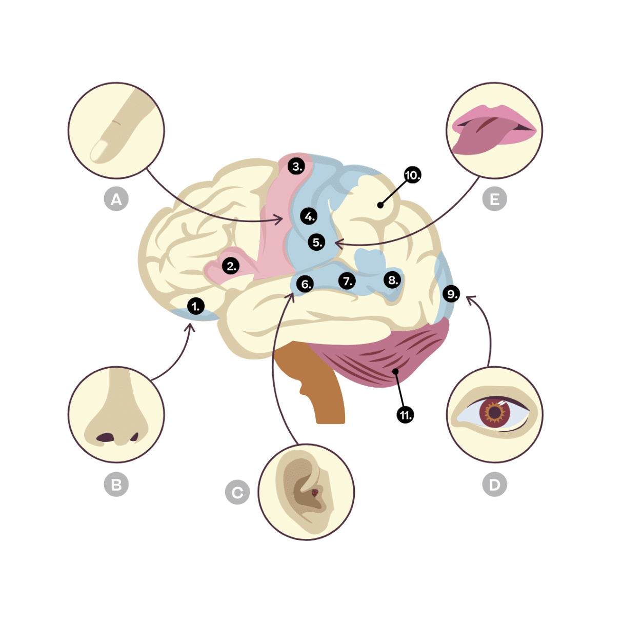 Frau genießt die Stille – Craniosacral Therapie bei Hochsensibilität in Bern